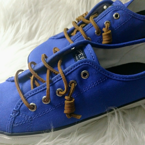 blue sperry sneakers
